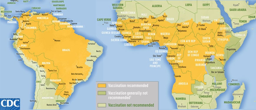 Fièvre jaune : Causes, symptômes, traitement I Clinique ...