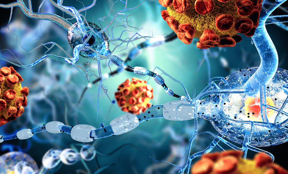 viral meningitis structure