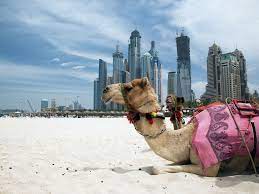 Travel clinic United Arab Emirates