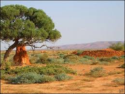 Travel clinic Somalia