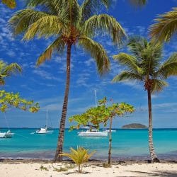 Travel clinic Saint Vincent & Grenadines